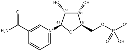β-nikotinamido mononukleotidas