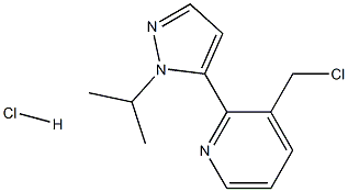 3-(chlormetil)-2-(1-izopropil-1H-pirazol-5-il)piridino hidrochloridas