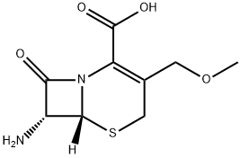 7-DĖDĖ