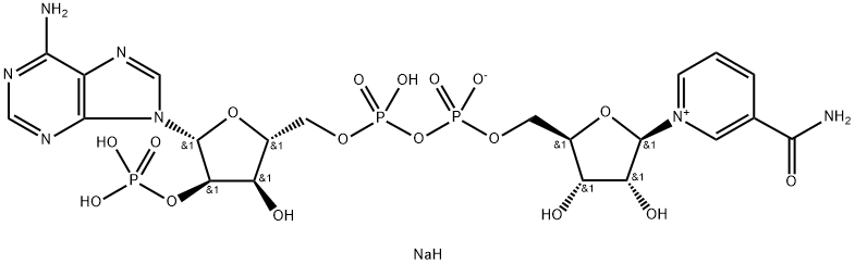 BETA-NIKOTINAMIDO ADENINE DINUKLEOTIDO FOSFATATO NATRIO DRUSKA