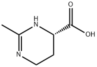 Ektoinas