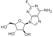Fludarabinas